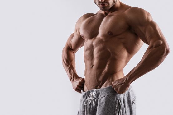Trestolone Enanthate im Bodybuilding Trestolone Enanthate im Bodybuilding